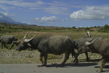 Similar image 8191066