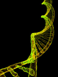 Similar image 8191075