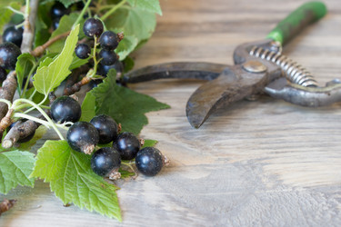 Similar image 8191077