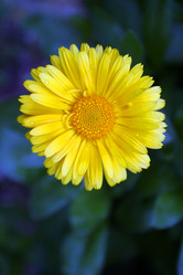 Similar image 8191098