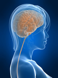 Similar image 8191104