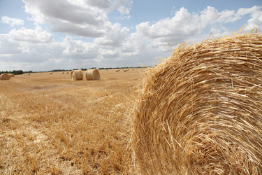 Similar image 8191107