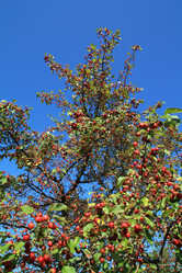 Similar image 8191122