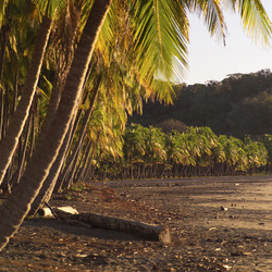 Similar image 8191140