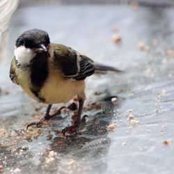 Similar image 8191153