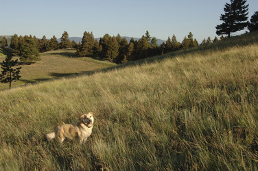 Similar image 8191160