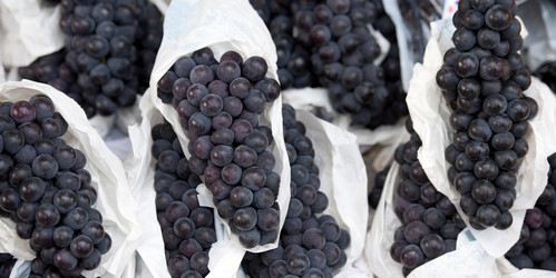 Similar image 8191161