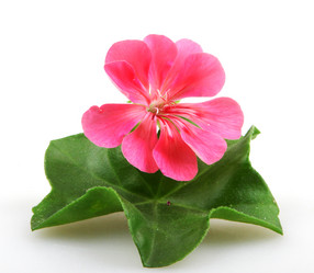 Similar image 8191168