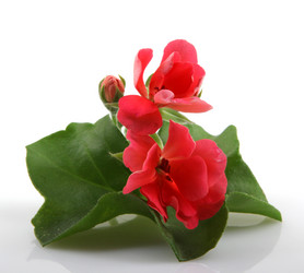 Similar image 8191169