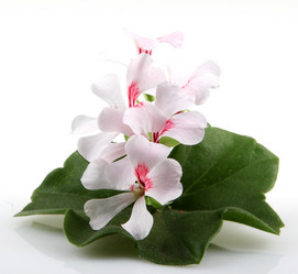 Similar image 8191171