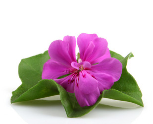 Similar image 8191172