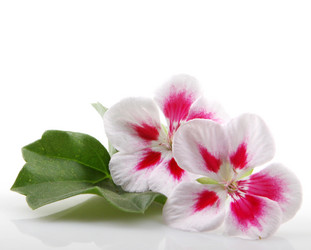 Similar image 8191173