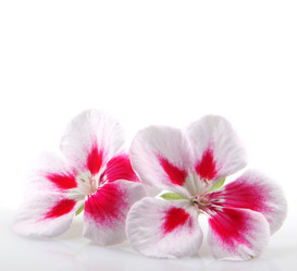 Similar image 8191174