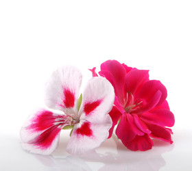 Similar image 8191175