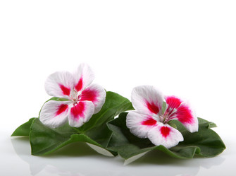 Similar image 8191176