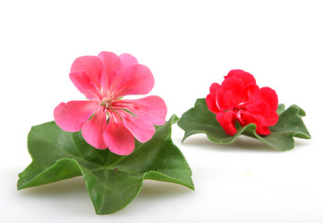 Similar image 8191178