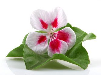 Similar image 8191180