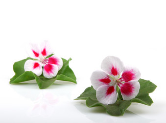 Similar image 8191182