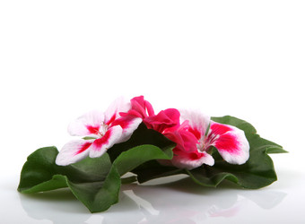 Similar image 8191183