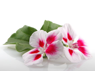 Similar image 8191184