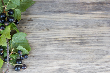 Similar image 8191185