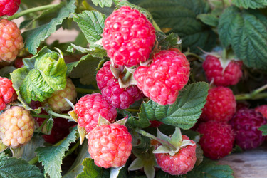 Similar image 8191186