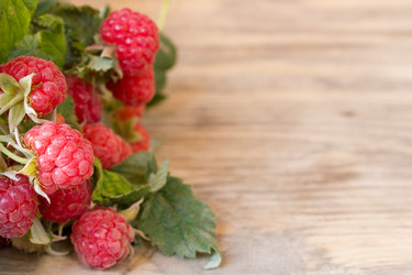 Similar image 8191187