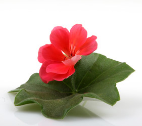 Similar image 8191198