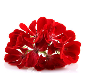 Similar image 8191200