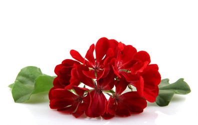 Similar image 8191201