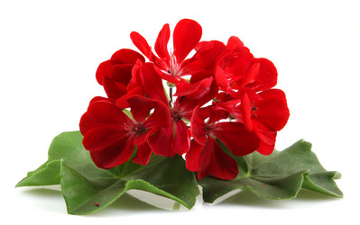 Similar image 8191202