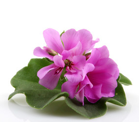 Similar image 8191203