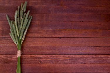 Similar image 8191205