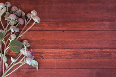 Similar image 8191208