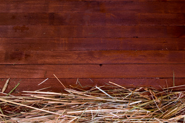 Similar image 8191211