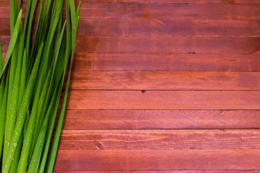 Similar image 8191212