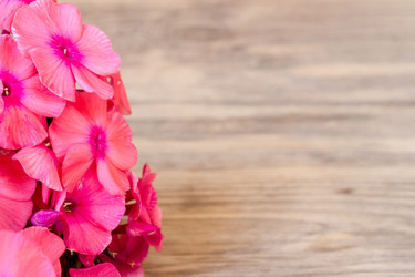 Similar image 8191217