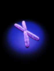 Similar image 8191237