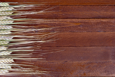 Similar image 8191255