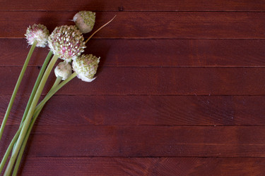 Similar image 8191258