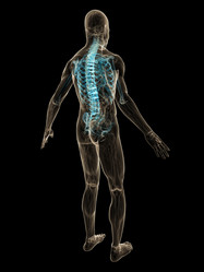 Similar image 8191268