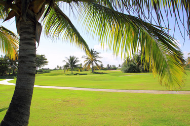 Similar image 8191270