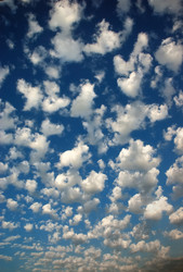 Similar image 8191301