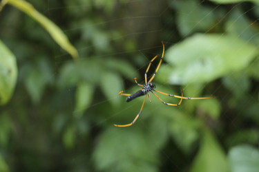 Similar image 8191315