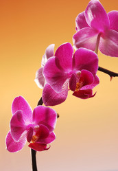 Similar image 8191316