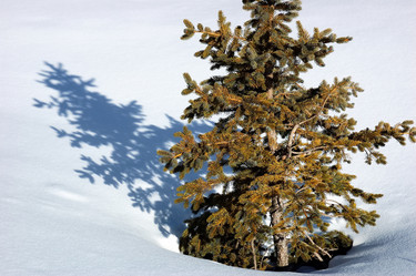 Similar image 8191355