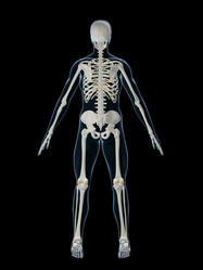 Similar image 8191358