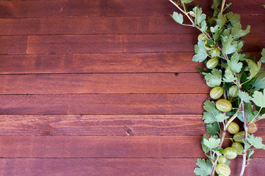 Similar image 8191362