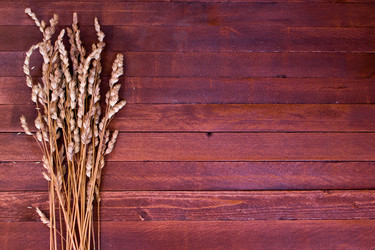 Similar image 8191393