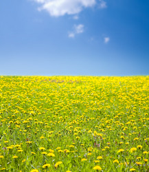 Similar image 8191418